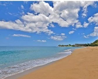 Beautifully Furnished, New Renovation, A/C, Mtn/Ocean View, beach/golf/hiking! - Waianae - Playa