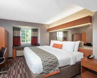 Microtel Inn & Suites by Wyndham Springfield - Springfield - Soveværelse