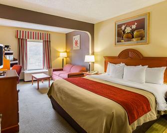 Quality Suites Altavista - Lynchburg South - Altavista - Bedroom