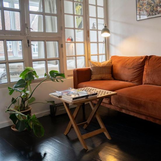 Central Spacious Studio Apt I 5 Minutes to Metro – København