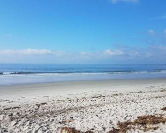 Studio Apt By Beach - Unit #14 - Scarborough - Beach