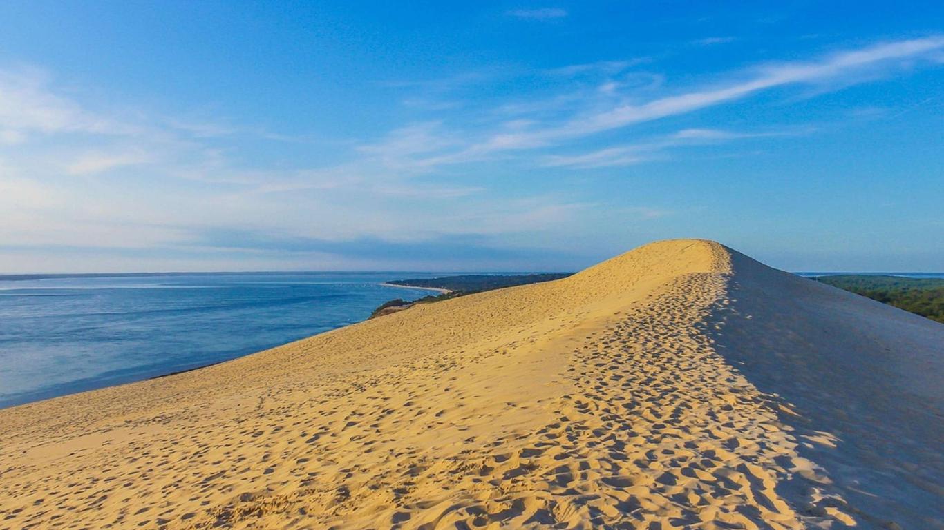 إيبيس أركاكون لا تيست