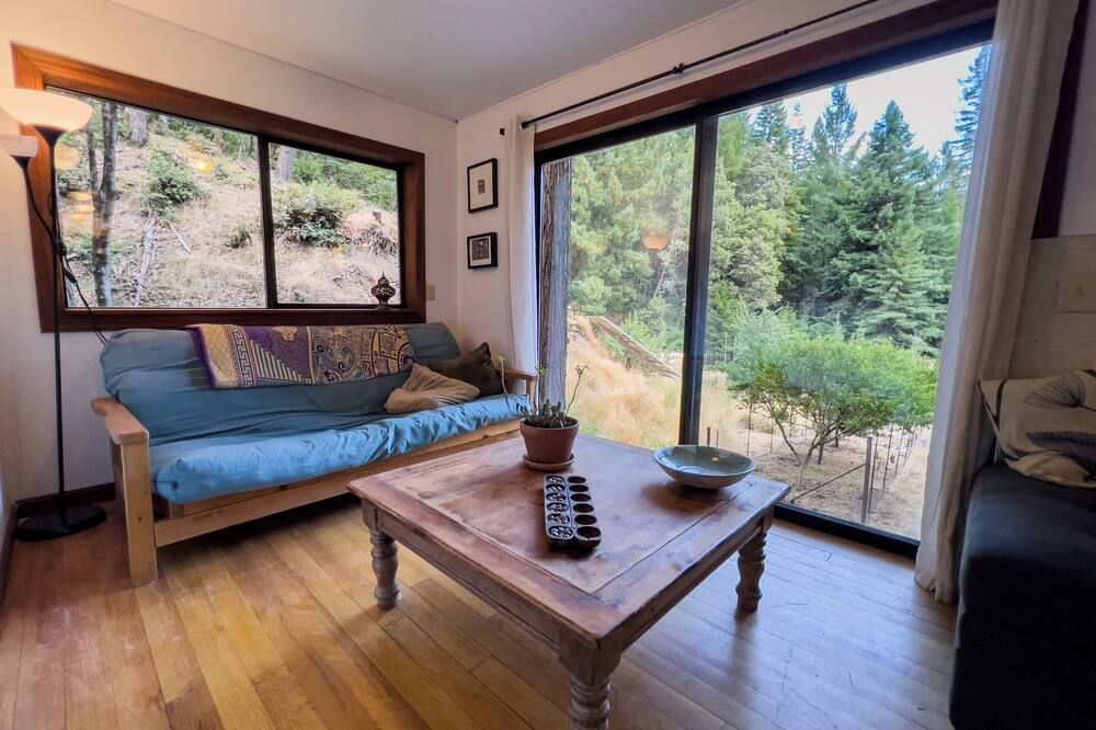 Little House in the Redwoods with a hot tub! - Garberville - Huiskamer