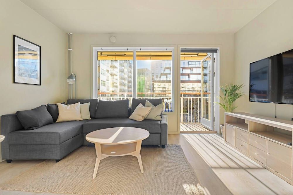 تشارمينج أوسلو أبارتمنت ويذ بالكوني آند روف توب أكسيس - أوسلو - غرفة معيشة