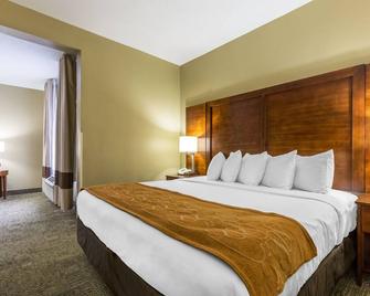Comfort Suites, Lansing - Located 30-minute to Chicago Midway Int'l Airport - Lansing
