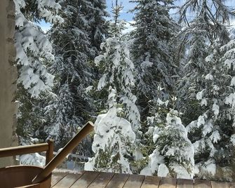 Kronplatz Ski Lodge - Valdaora - Balcon