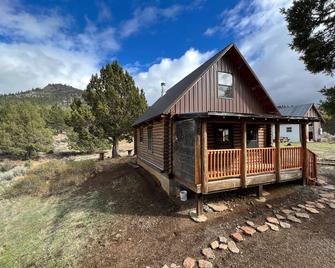 Mountain Cabin Getaway - The Cranky Canard - Alturas