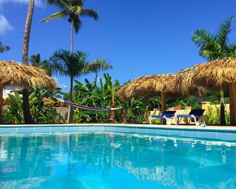 Las Galeras Hotel - Samana - Piscina