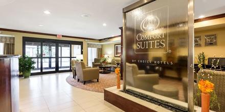 Image of hotel: Comfort Suites Forrest City