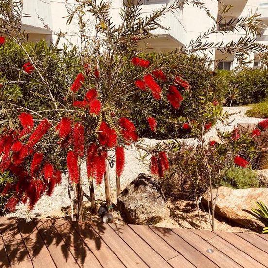 Calvi H么tel image 1
