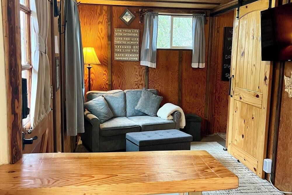 Mt Rainier Little Green Cabin On Big Cre - אשפורד - סלון
