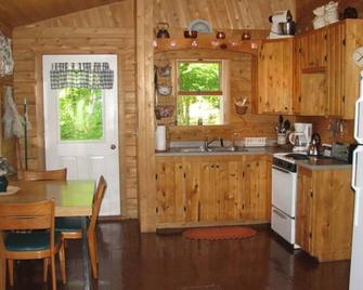 Cozy Cedar Log Cabin on Pristine Sand Pond in Norway, great for swimming. - Norway - Kitchen