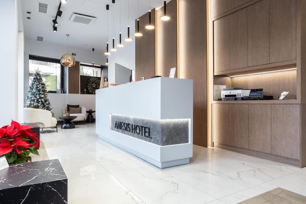 Anesis Hotel - Козані - Рецепція