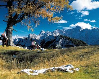 Kronau Chalet Resort - Kranjska Gora