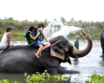 Chitwan Paradise Hotel - Sauraha