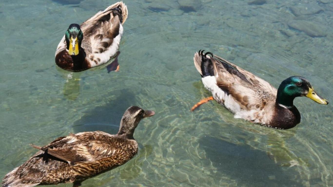 水水春耘民宿