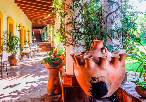 3 plantes mexicaines pour une terrasse hacienda