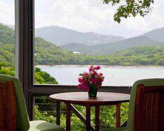 Blue Vista Too: Oceanfront Apartment, Central Location - Saint Thomas Island - Balcón