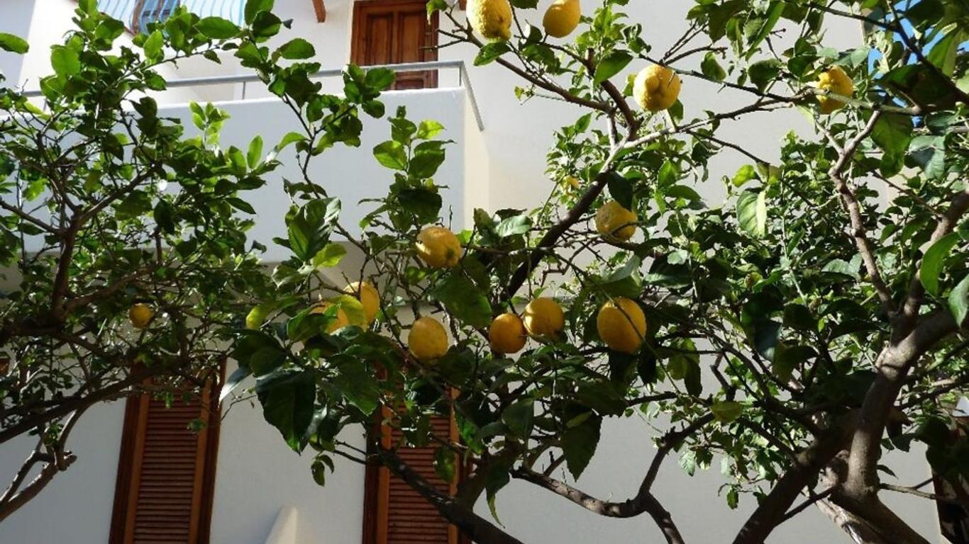 塞索塔酒店 - 福利奧迪伊斯基亞