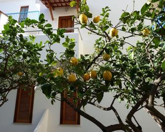 Hotel Cesotta - Forio