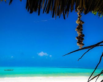 Jambiani White Sands Bungalows - Jambiani - Beach