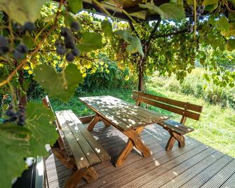 Winzerhof Küssler - Weinviertel - Stillfried - Patio
