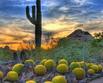 Close to Gammage Lawn and Historic Palm Walk! Pets are Allowed, Swimming Pool! - Tempe
