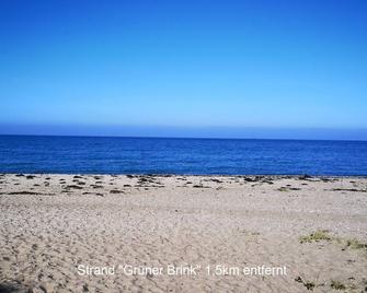 Strandhaus diversity - Fehmarn, coral reef - Fehmarn - Strand