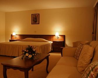 Park Hotel Sankt Peterburg - Plovdiv - Habitación