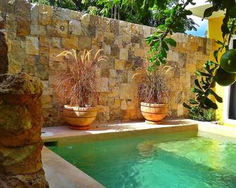 Hotel Boutique Casa Hipil - ויאדוליד - בריכה