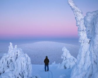 Holiday Club Salla Superior Apartments - Salla