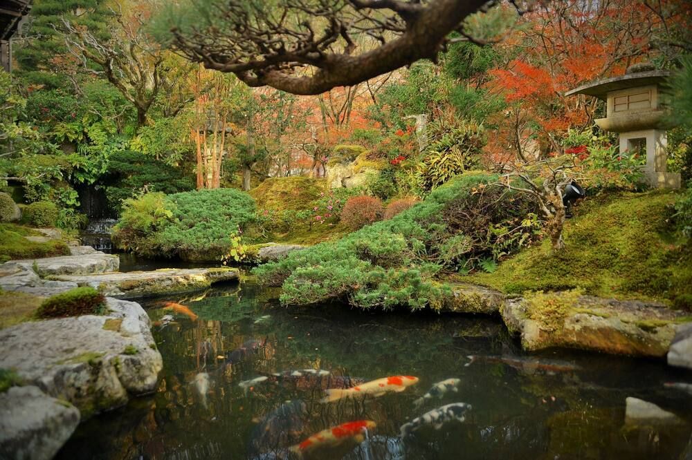Kyoto Ohara Ryokan Seryo - Kyōto - Außenansicht