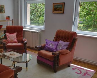 Big 70m2 apartment with free parking - Belgrade - Living room