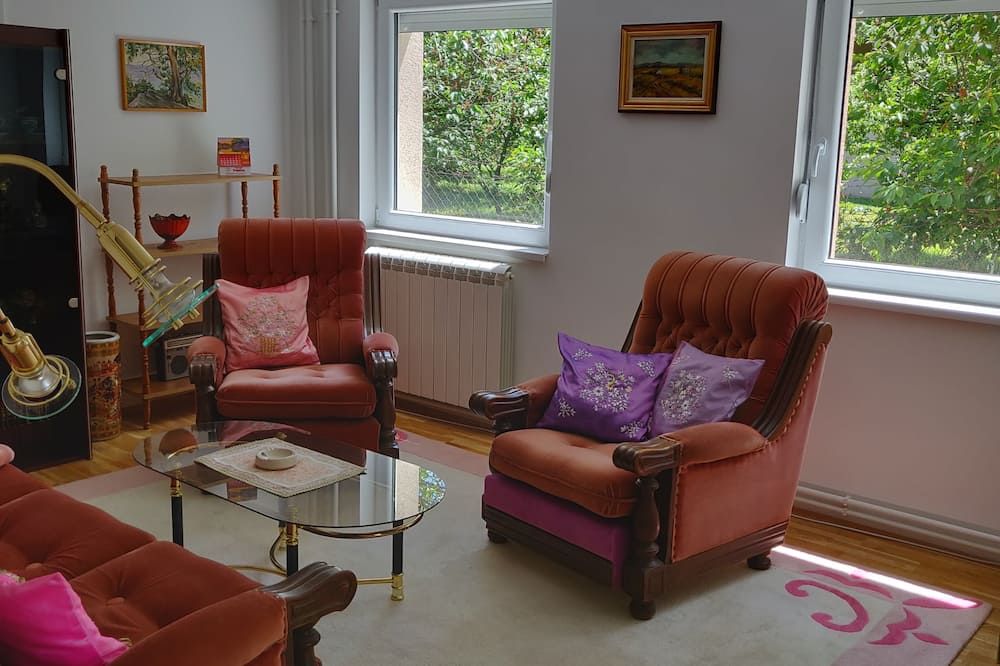 Big 70m2 apartment with free parking - بلغراد - غرفة معيشة