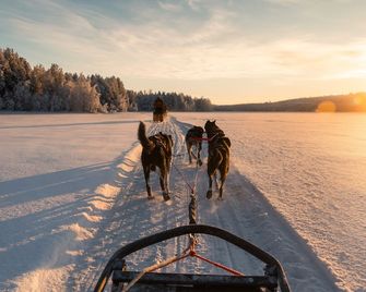 Skyview Igloo Resort - Rovaniemi