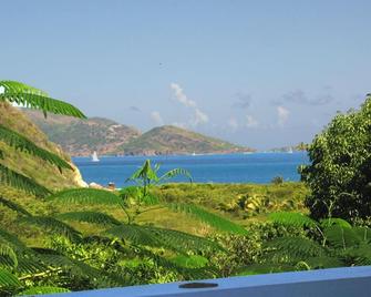 Limeberry House, easy walking to Longbay & Smugglers Cove, beaches - West End - Außenansicht