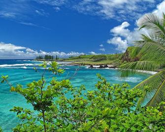 Minutes To Hamoa Beach, Best Location In Hana - Hana - Basen