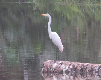Yacumama Tambopata Ecolodge - Puerto Maldonado