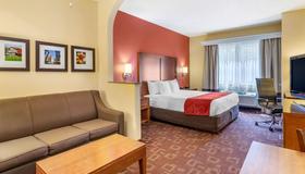 Comfort Suites - Near the Galleria - Houston - Soveværelse