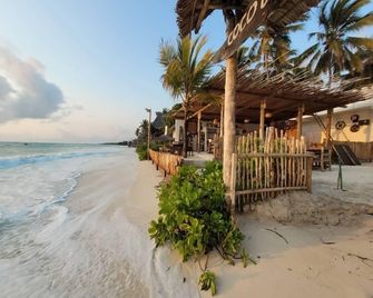 Coco Beach Hotel - Jambiani - Playa