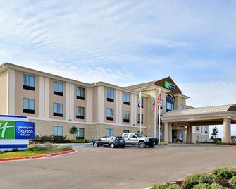 Holiday Inn Express & Suites Schulenburg - Schulenburg - Building