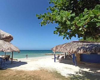 Dahlandia - Santa Cruz del Islote - Playa
