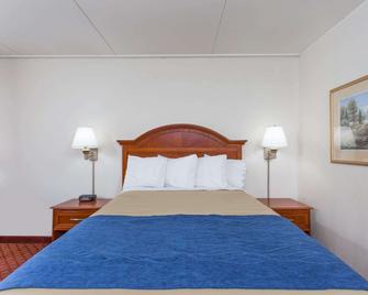 Days Inn by Wyndham Winston Salem North - Winston-Salem - Bedroom