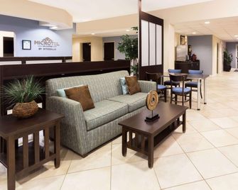 Microtel Inn & Suites by Wyndham Spring Hill/Weeki Wachee - Spring Hill - Lobby