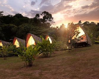 Esquipulas Rainforest - Quepos