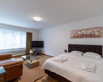 Amazing studio city center - Wille 4 - Zurich