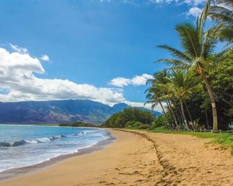 Central Maui Hostel - Wailuku - Beach