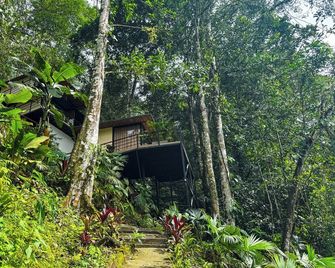 Rincon de la Sierra Minca - Minca - Extérieur