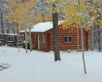 Rustic Colorado Cabin - Divide - Edificio