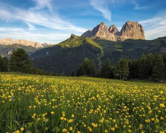 Hotel Gran Paradis - Campitello di Fassa